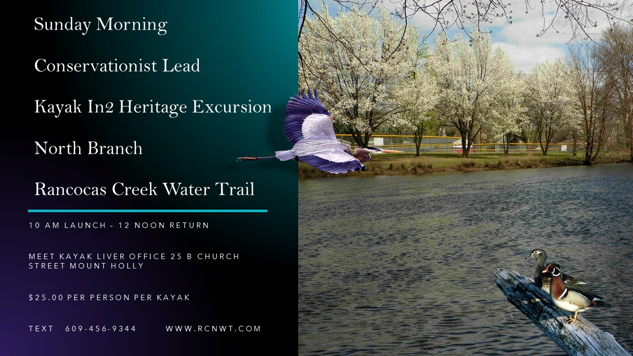 Sunday 10 AM Conservationist Lead Field Trip. Mount Holly Timbuctoo